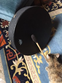 purrfectdrum