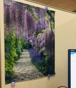 wisteriaposter